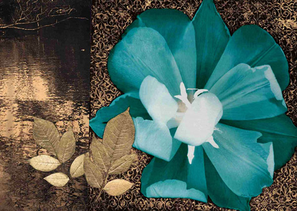 Jahrriesnge Floral of flower-lpf00567 