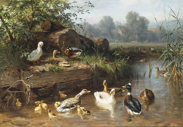 Jahrriesnge Animals of duck-lpf02588 