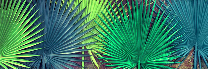 Jahrriesnge Floral of flowers lpf04592 