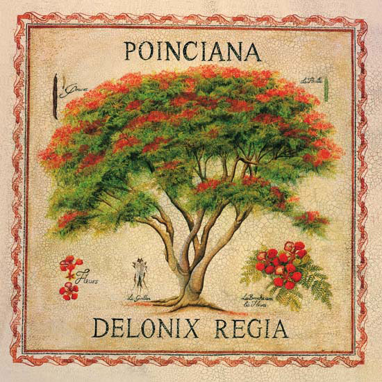 Jahrriesnge Floral of flowers lpf04958 