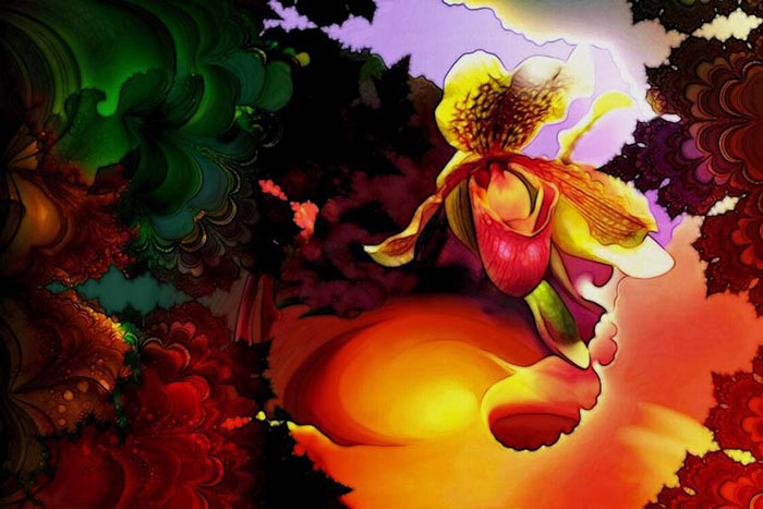 Jahrriesnge Abstract of colorful-lpf05928 