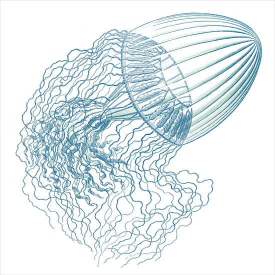 JAHRRIESNGE Abstract of colorful-lpf06397 