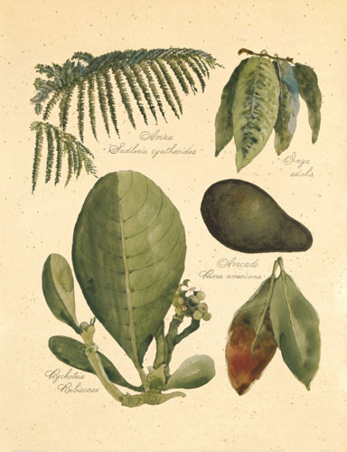 JAHRRIESNGE Floral of flowers-lpf06747 