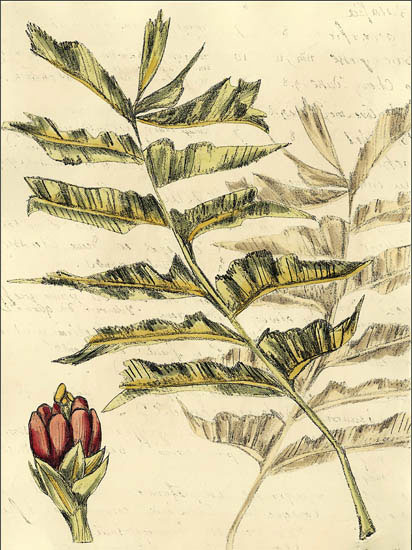 Jahrriesnge Floral of flowers-lpf06910 