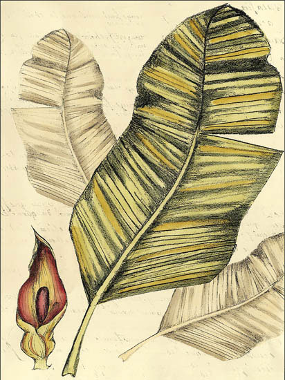 Jahrriesnge Floral of flowers-lpf06911 