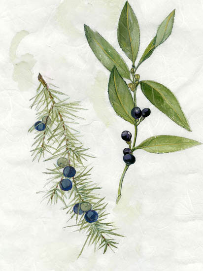 Jahrriesnge Floral of flowers-lpf06913 