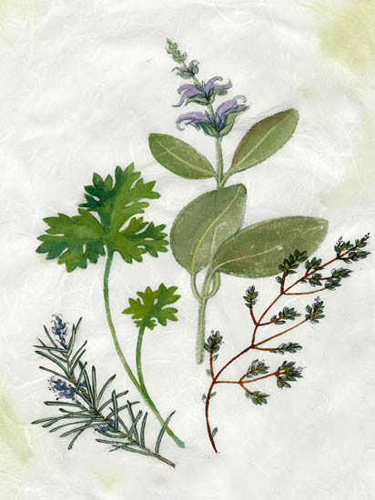 Jahrriesnge Floral of flowers-lpf06914 