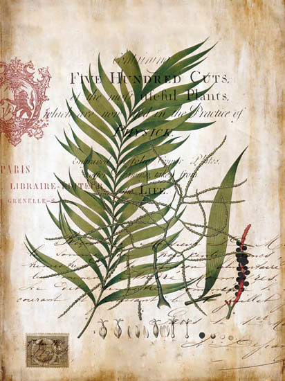 Jahrriesnge Floral of flowers-lpf06916 