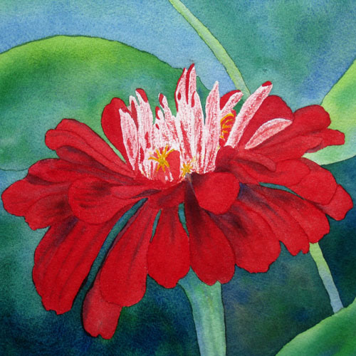 Jahrriesnge Floral of flowers-lpf07577 