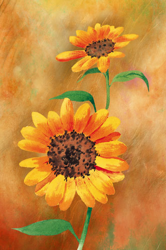 Jahrriesnge Floral of flowers-lpf07597 