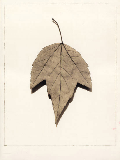 JAHRRIESNGE Floral of leaf lpf08081 