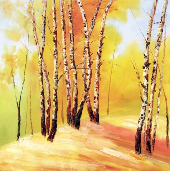 Jahrriesnge Landscape of trees lpf08450 